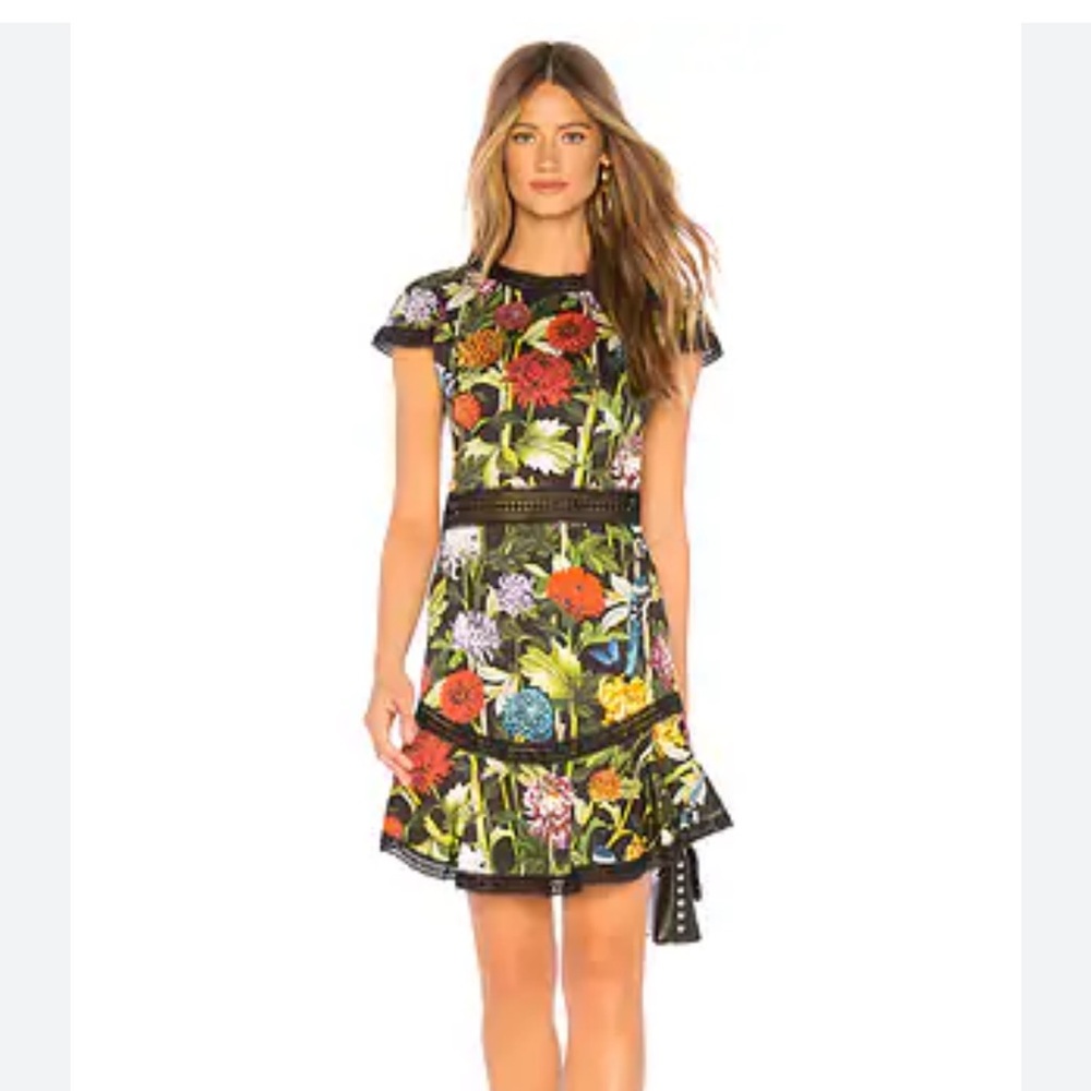 Alice + Olivia  Rapunzel Fit and Flair Dress | Size 6
